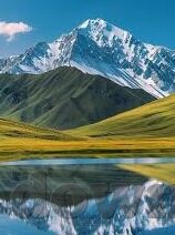 足球比分免费-揭秘足球比分免费获取渠道，球迷福利还是隐藏陷阱？